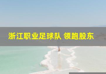 浙江职业足球队 领跑股东